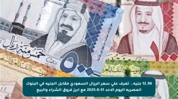 12.96 جنيه.. تعرف على سعر الريال السعودي مقابل الجنيه في البنوك المصرية اليوم الأحد 31-8-2025 مع أبرز فروق الشراء والبيع